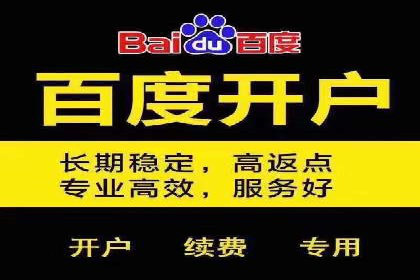 SEM优化策略：案例解读成功之道